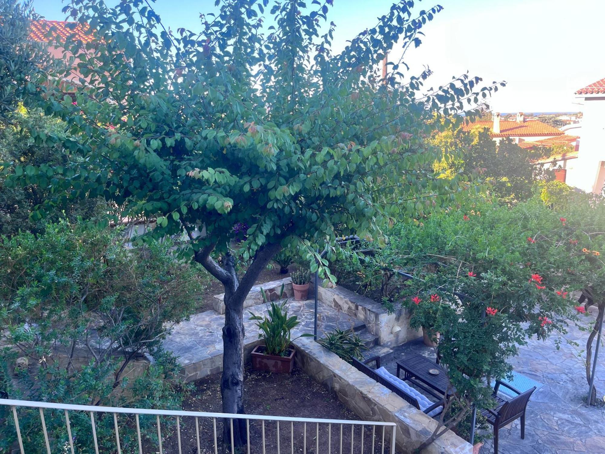 Villa Fatta Di Sogni Pula Exteriör bild